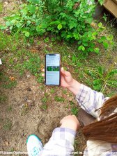 2022.05.31-06.03 - Ocypel - 1c